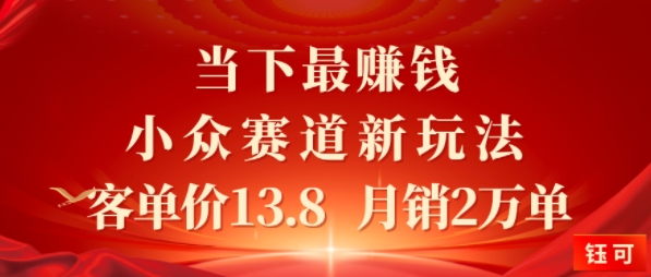 当下最挣钱的小众赛道 小红书新玩法10个作品涨粉3W，客单价13.8 月销2W单-副业资源网