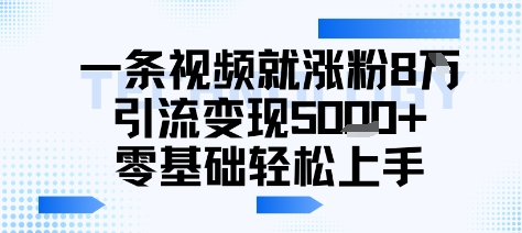 一条视频就涨粉8W引流变现5k+，0基础项目轻松上手-副业资源网