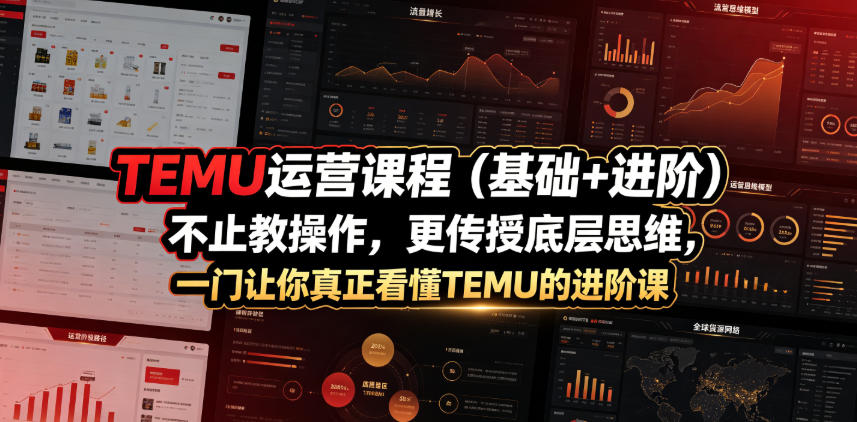 TEMU运营课程（基础+进阶），不止教操作，更传授底层思维，一门让你真正看懂TEMU的进阶课-副业资源网