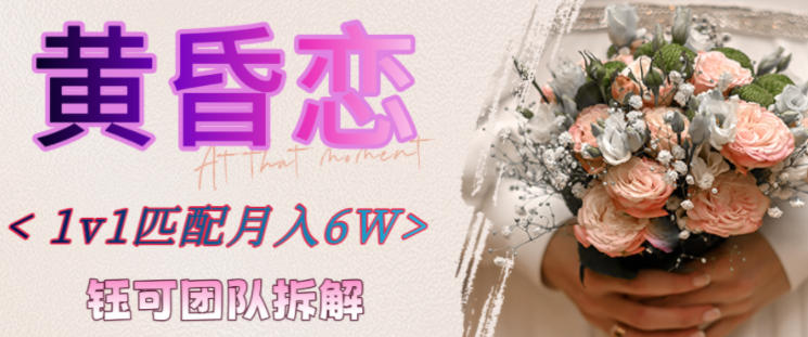 副业拆解:黄昏恋1对1匹配月入6个,潜力巨大-副业资源网