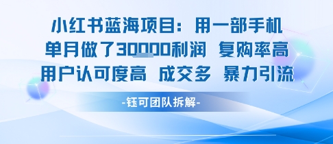 小红书蓝海项目，一部手机单月做了3W利润，小白也能月入过1W用户认可度高成交多-副业资源网