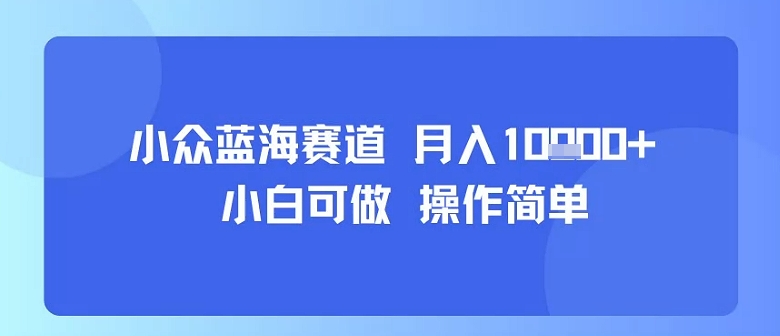 小众蓝海赛道，小白可做，操作简单，每天30分钟，月入1W+-副业资源网
