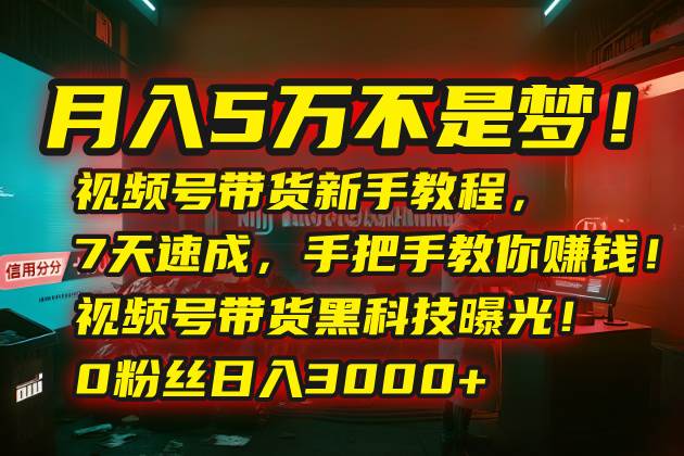 （15595期）月入5万不是梦！视频号带货新手教程，7天速成，手把手教你赚钱！视频号…-副业资源网