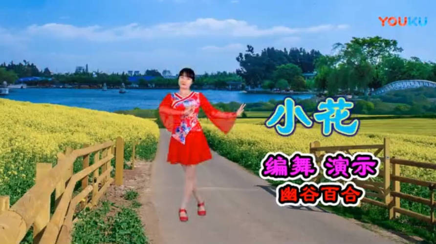 精选高清广场舞视频教学合集500首