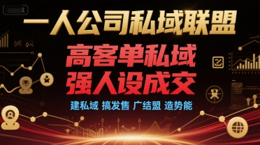 一人公司私域联盟，高客单私域，强人设成交，建私域 搞发售 广结盟 造势能-副业资源网