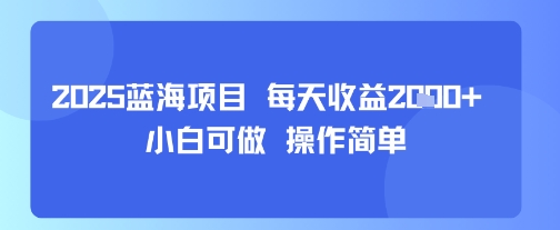 2025蓝海项目 每天收益多张 小白可做 操作简单-副业资源网