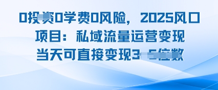 0学费0风险，2025风口项目：私域流量运营变现，当天可直接变现-副业资源网