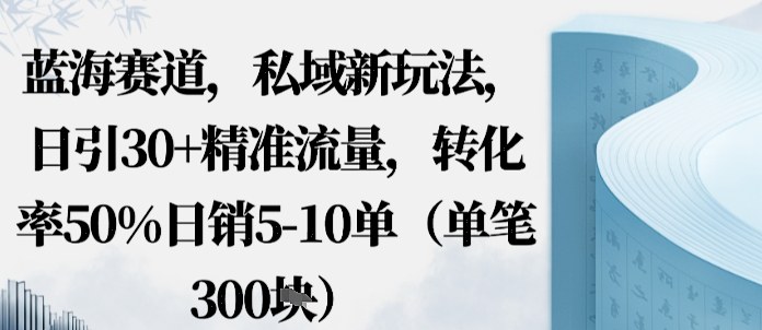蓝海赛道，私域新玩法，日引30+精准流量，转化率50%日销5-10单（单笔3张）-副业资源网