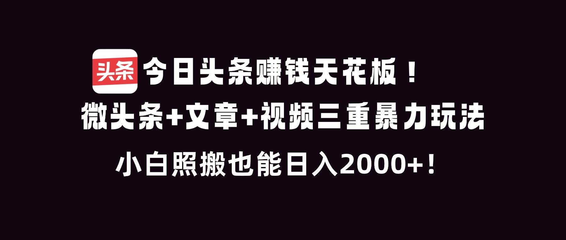 （16888期）今日头条赚钱天花板！微头条+文章+视频三重暴利玩法，小白照搬也能日人2000+-副业资源网