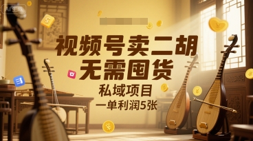 视频号卖二胡，无需囤货，私域项目，一单利润5张-副业资源网