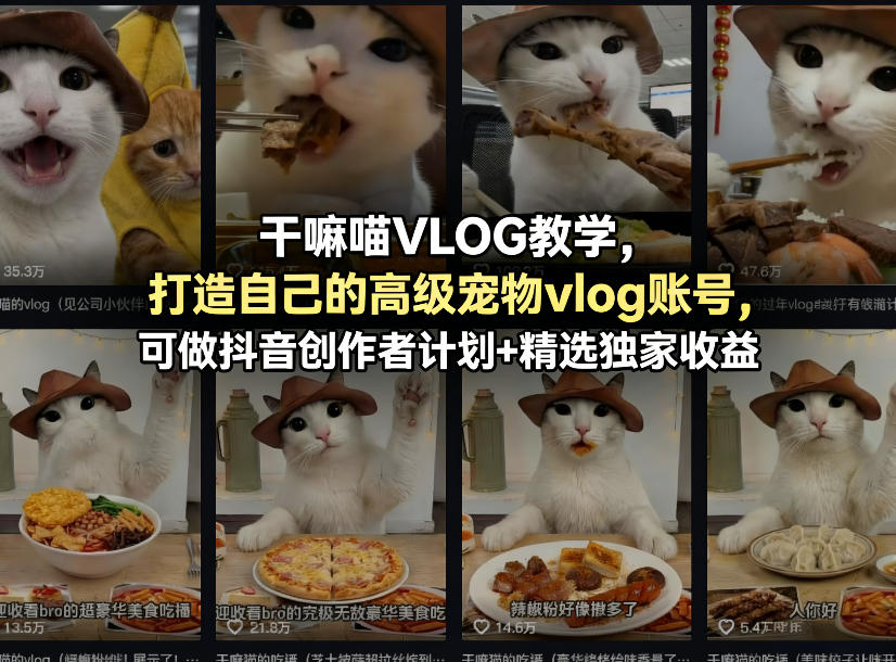 干嘛喵VLOG教学，打造自己的高级宠物vlog账号，可做抖音创作者计划+精选独家收益-副业资源网