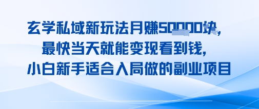 玄学私域新玩法月入1W+，最快当天就能变现看到米，小白新手适合入局做的副业项目-副业资源网