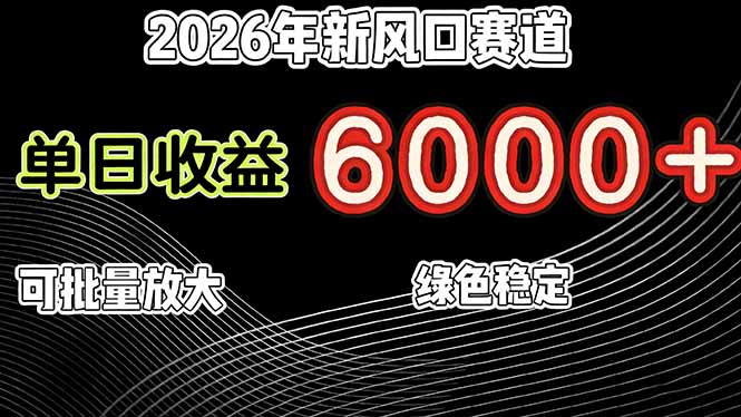2026年新风口赛道，当日6000+以上，可批量放大，月收入20万+，长期绿色稳定的项目-副业资源网