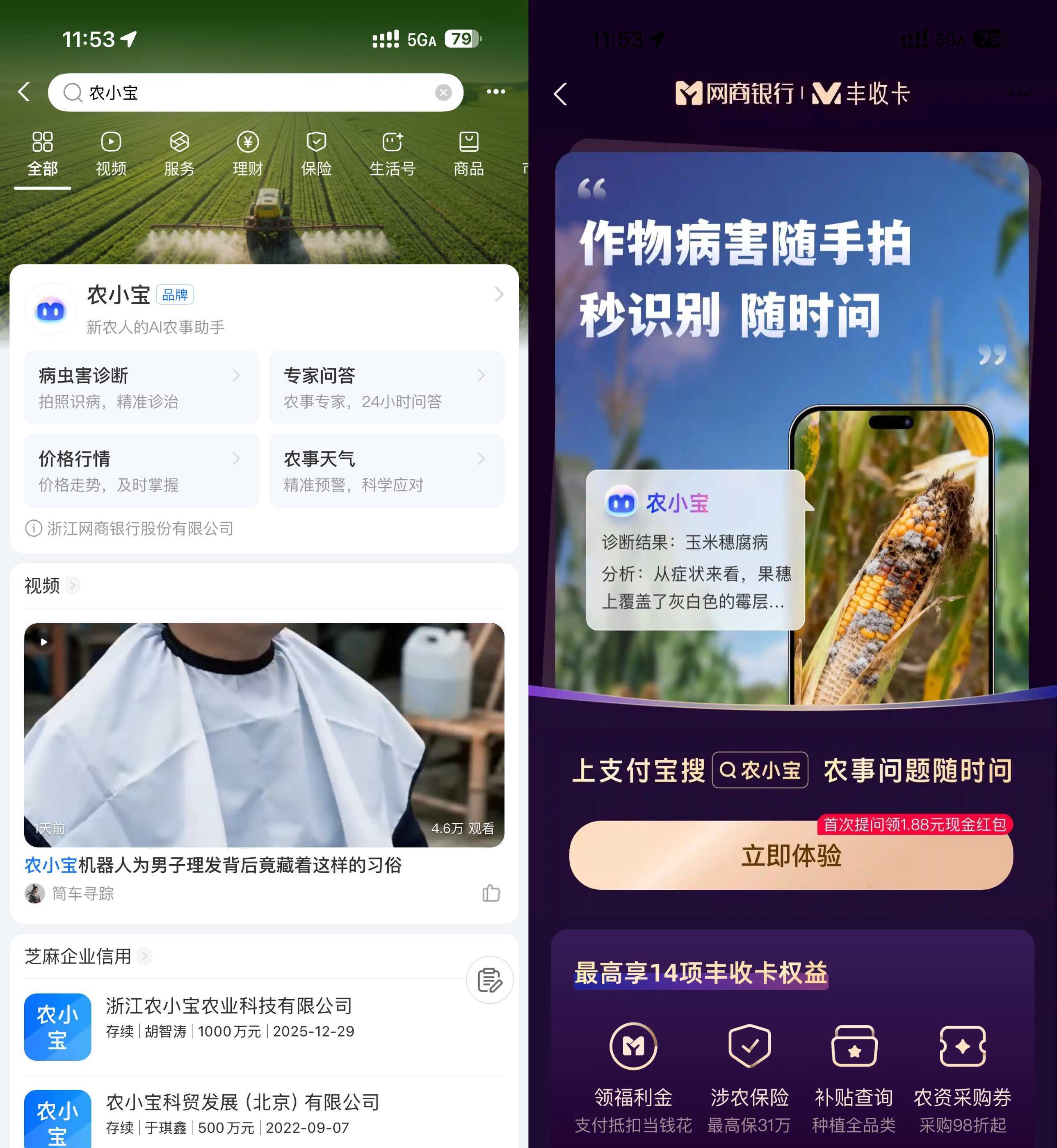 支付宝农小宝首次提问得1.88亓-副业资源网