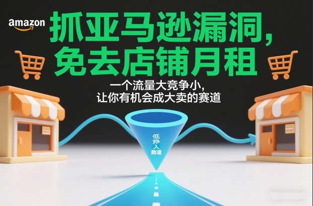 抓亚马逊漏洞，免去店铺月租，一个流量大竞争小，让你有机会成大卖的赛道-副业资源网