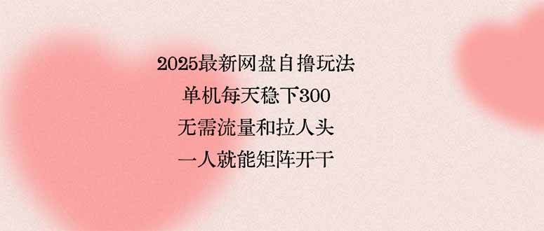 （15831期）2025最新网盘自撸玩法，单机每天稳下3张，无需流量和拉人头，一个人就…-副业资源网
