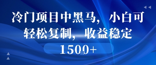 冷门项目中黑马，小白可轻松复制，收益稳定1.5k-副业资源网
