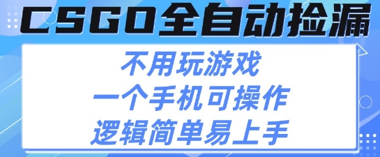CSGO自动捡漏项目，最新独家玩法，不用挂G不用玩游戏，一个手机即可操作，新手小白轻松月入1W+【揭秘】-副业资源网