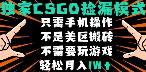 CSGO自动捡漏项目，最新独家玩法，不是美区搬砖，不需要了解和玩游戏，新手小白轻松月入1W+【揭秘】-副业资源网