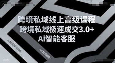 跨境私域线上高级课程，跨境私域极速成交3.0+Ai智能客服-副业资源网