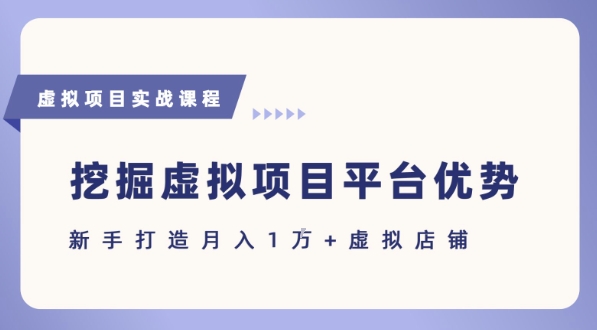 抓住虚拟项目各平台优势，新手轻松月入1W+(给出具体建议)-副业资源网