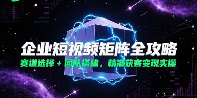 （15242期）企业短视频矩阵全攻略，赛道选择+团队搭建，精准获客变现实操-副业资源网