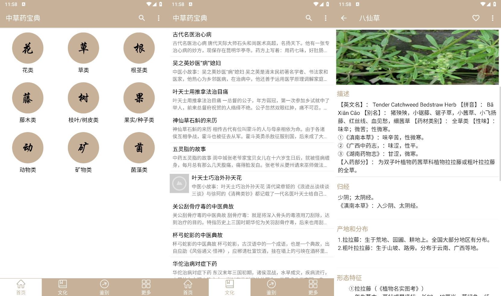 安卓中草药宝典v2.6.12纯净版-副业资源网