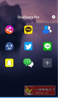 Dual Space 双开空间v3.1.0 专业版-副业资源网