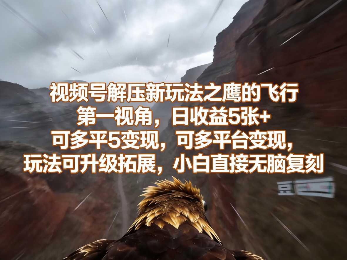 视频号解压新玩法之鹰的飞行第一视角，日收益5张+，可多平台变现，玩法可升级拓展，小白直接无脑复刻-副业资源网