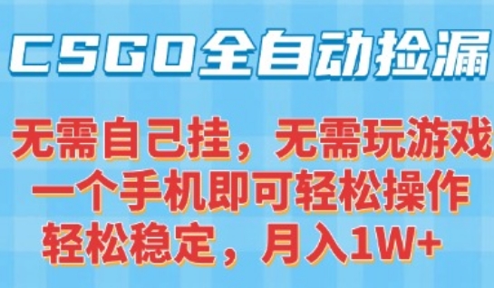 CSGO自动捡漏项目，最新独家玩法，一个手机可操作，新手小白轻松月入1W+，操作简单易上手【揭秘】-副业资源网
