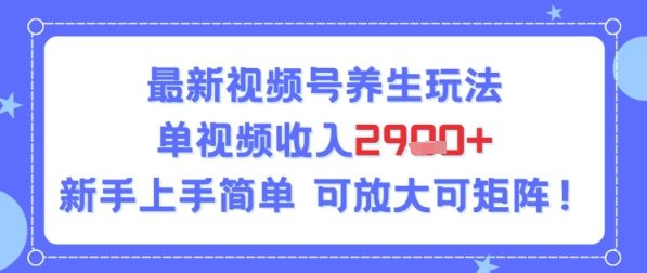 视频号养生玩法，单视频收入2.9k，新手上手简单-副业资源网