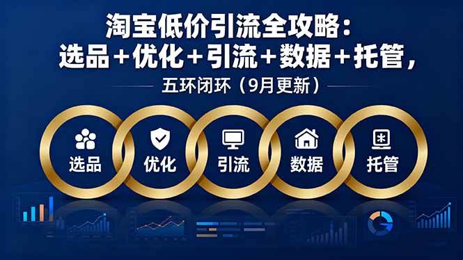 （16009期）淘宝低价引流全攻略：选品＋优化＋引流＋数据＋托管，五环闭环（9月更新）-副业资源网