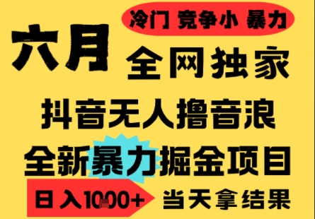 25年6月高爆抖音无人直播最新撸音浪掘金项目，小白可做，无脑日入1k+，门槛低可批量矩阵【揭秘】-副业资源网