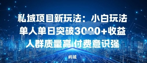 私域项目新玩法：小白玩法单人单日突破1k收益人群质量高付费意识强-副业资源网