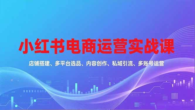 (16695期)小红书电商运营实战课,店铺搭建、多平台选品、内容创作、私域引流、多账号运营等玩法-副业资源网