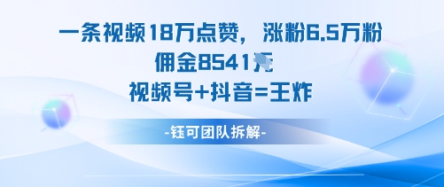 一条视频18W点赞，涨粉6.5W粉佣金8541米，视频号+抖音=王炸-副业资源网
