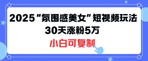 不露脸也能火！2025“氛围感美女”短视频玩法，30天涨粉5W小白可复制-副业资源网