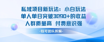 私域项目新玩法小白玩法单人单日突破1k的收益人群质量高付费意识强-副业资源网