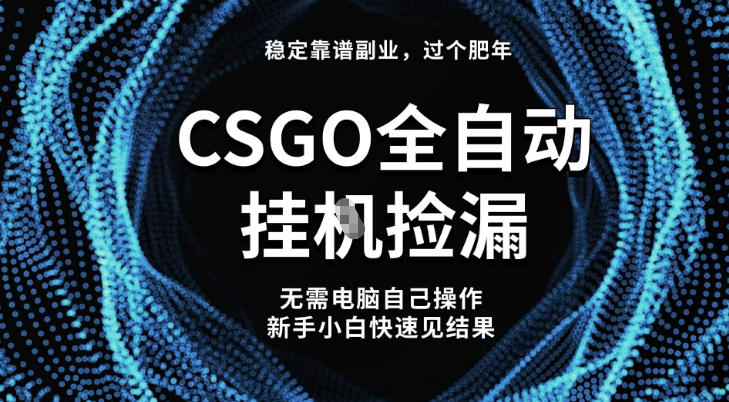 【稳定副业】全球最热门游戏CSGO全自动捡漏，最新玩法，新手小白日入5张+【揭秘】-副业资源网