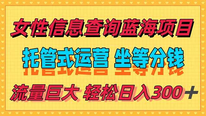 （15216期）稳定日入300＋，小众信息查询蓝海项目，全程懒人式托管，解放你的时间-副业资源网