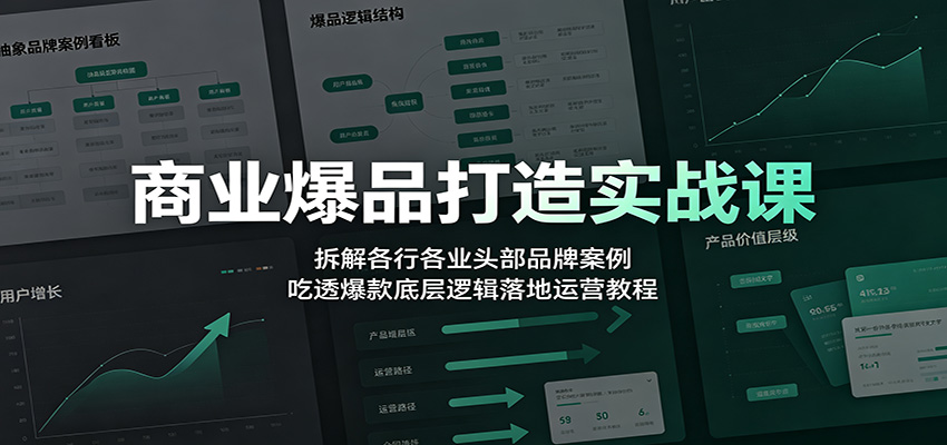 商业爆品打造实战课：拆解各行各业头部品牌案例，吃透爆款底层逻辑落地运营教程-副业资源网