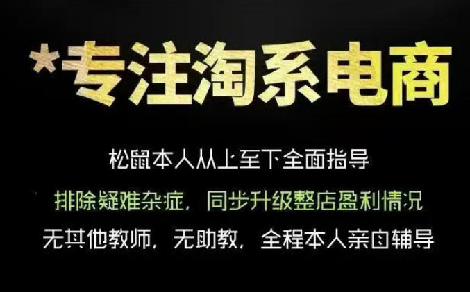 松鼠会电商VIP课程,从基础布局到高阶优化,助你掌握淘宝运营逻辑,提升店铺流量与转化-副业资源网