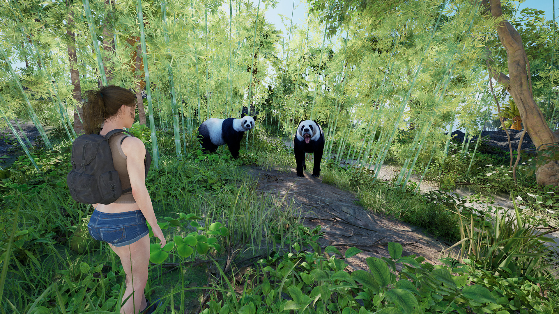 伊甸岛/Eden Island 伊甸岛/Eden Island