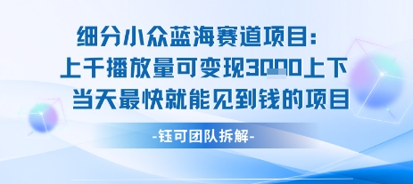 小众蓝海赛道项目：当天变现1k+适合新手操作 +适合长期玩-副业资源网